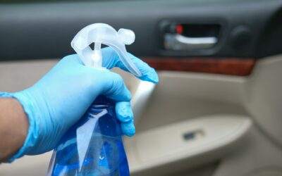 Understanding the Importance of Bug-Removal in Car Maintenance